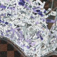 SHREDDED MONEY DLXSV BACKPACK