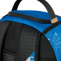 USPS MAILBOX VANDAL DLXSR BACKPACK