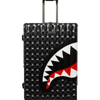 GRAY PEEKING CHARACTER CHECK FULL-SIZE LUGGAGE