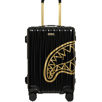 THAT GOLD DRAP CARRY-ON LUGGAGE