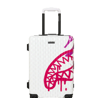 GRAFF MAYHEM RMX CARRY-ON LUGGAGE
